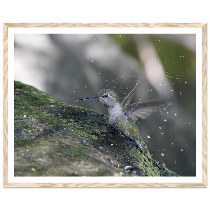 665ce606-deb2-407c-9ebb-eee6ad3dfb1d