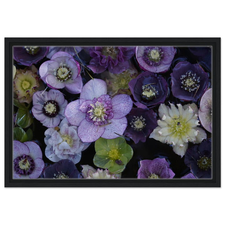 666c7ee5-5d5d-4946-876f-a084629cac22