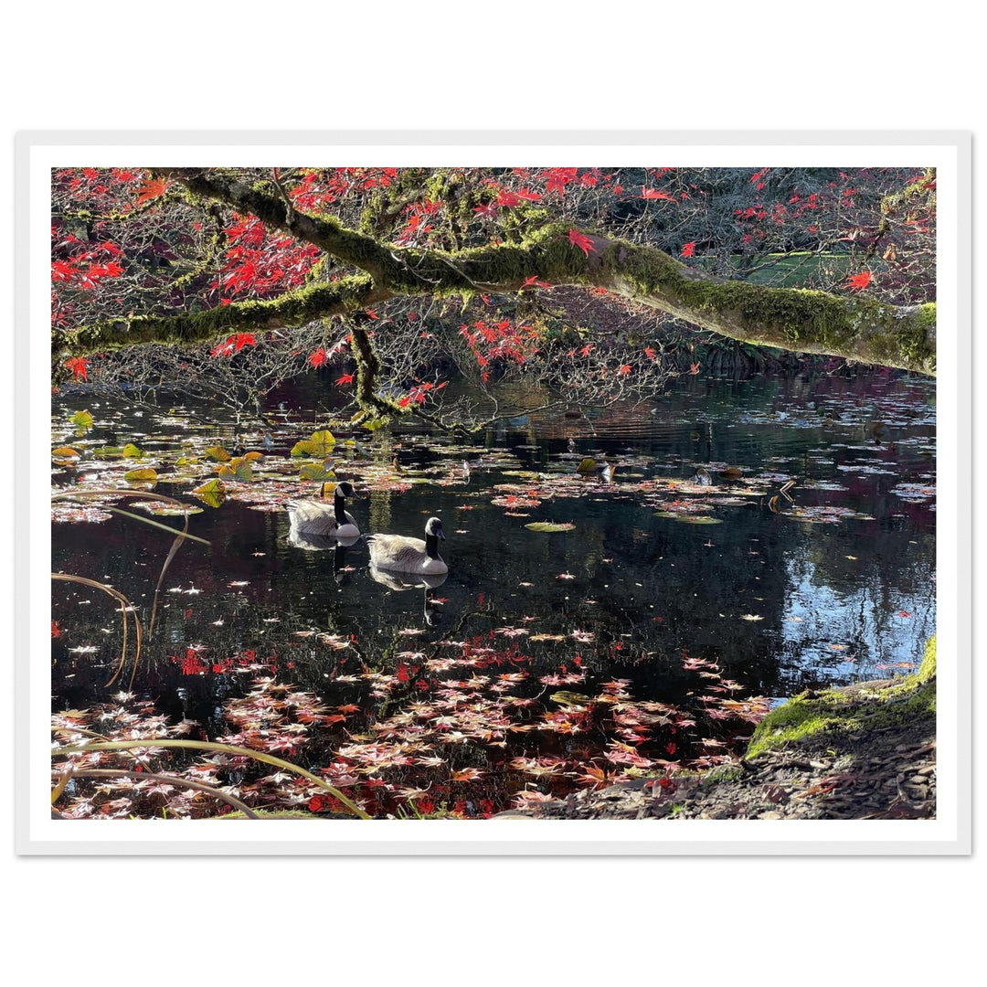 6ef8424f-a47b-419f-ad1f-f8495a2af127