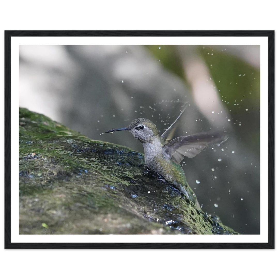 770fc88a-61dc-443c-a1bd-2dfe49f54f28