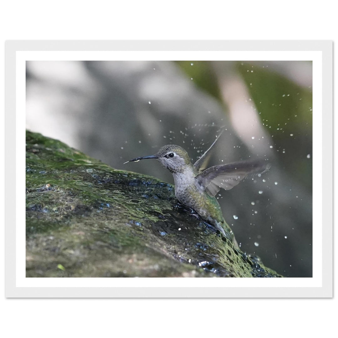 77c015f4-542c-4a01-a676-818e335d1bc4