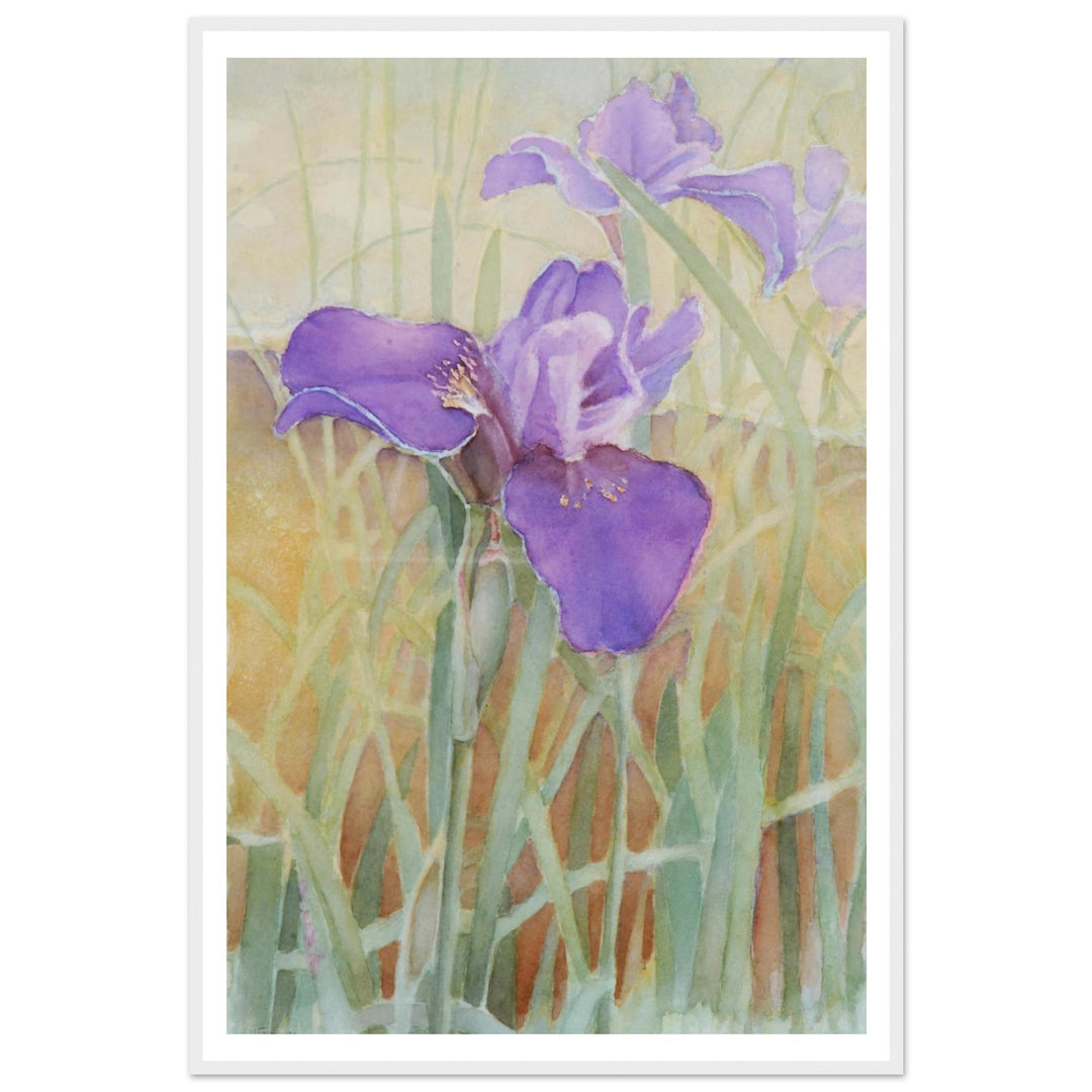 Vibrant Iris Blossoms: A Watercolor Celebration of Nature's Beauty by Veronique Semple - Watercolor wall art print