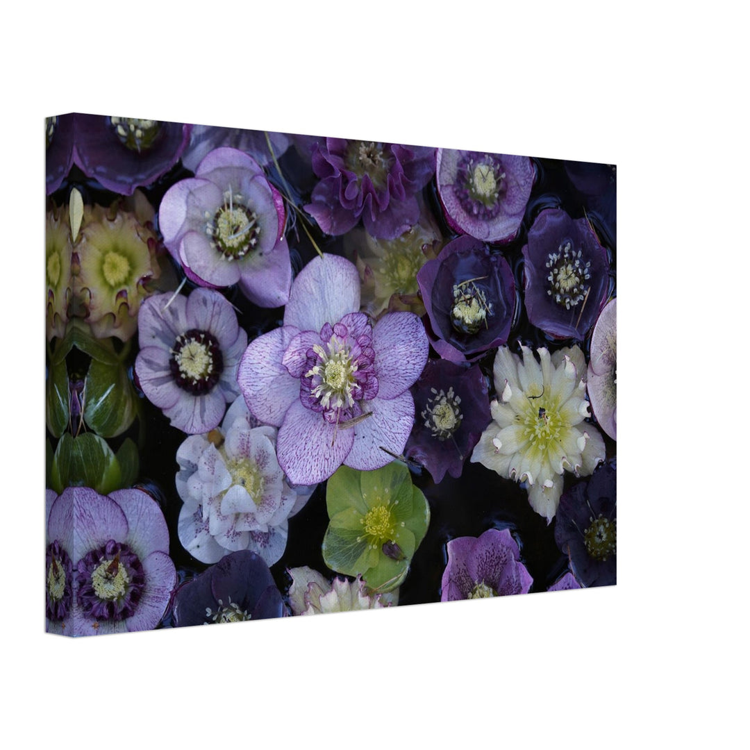 7dd89122-53e1-49d1-8ba2-21113ab764c4