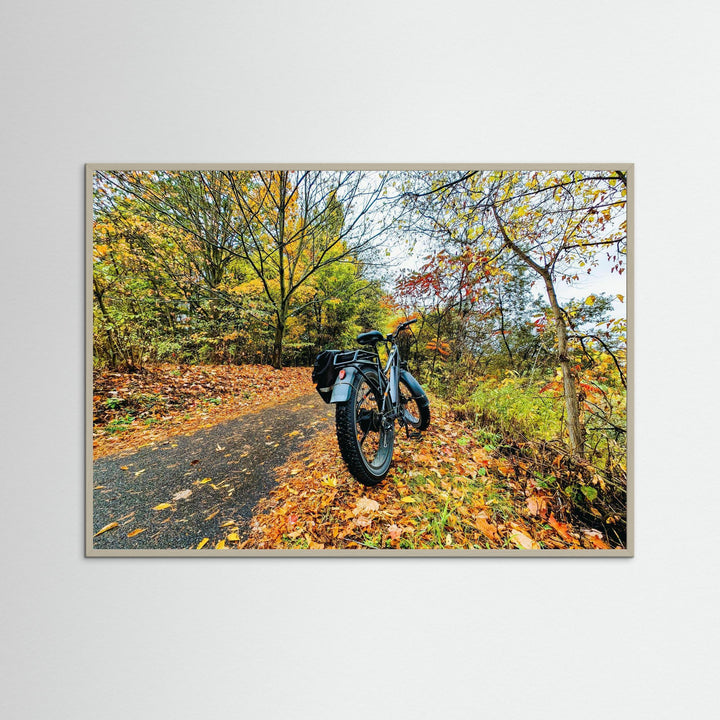 Fat Bike on Fall Path - Art Print Framed Options