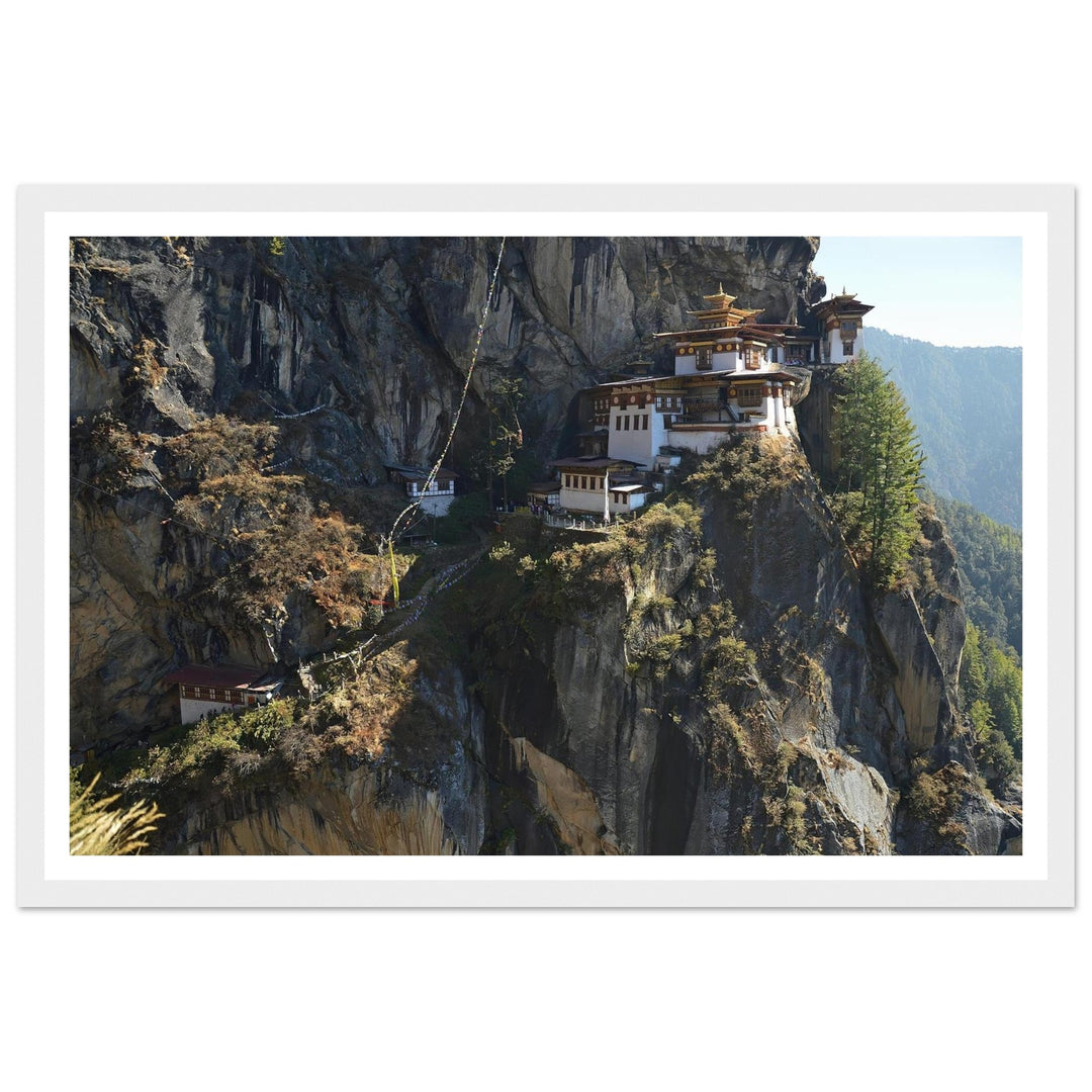 803c26fd-27de-4e8c-ab86-11a4fdc4162a