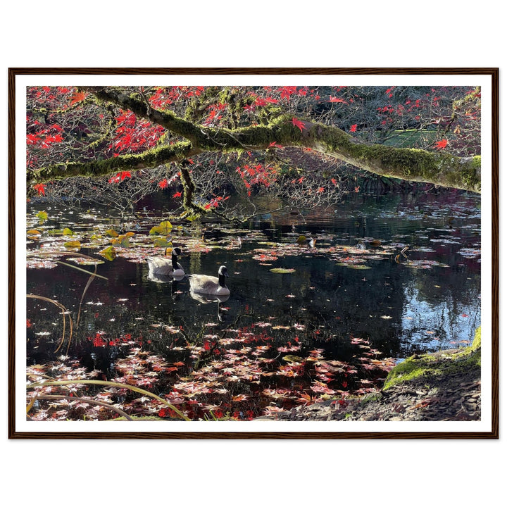 81ef1c03-1313-4dee-9d66-6195fbf08bd6