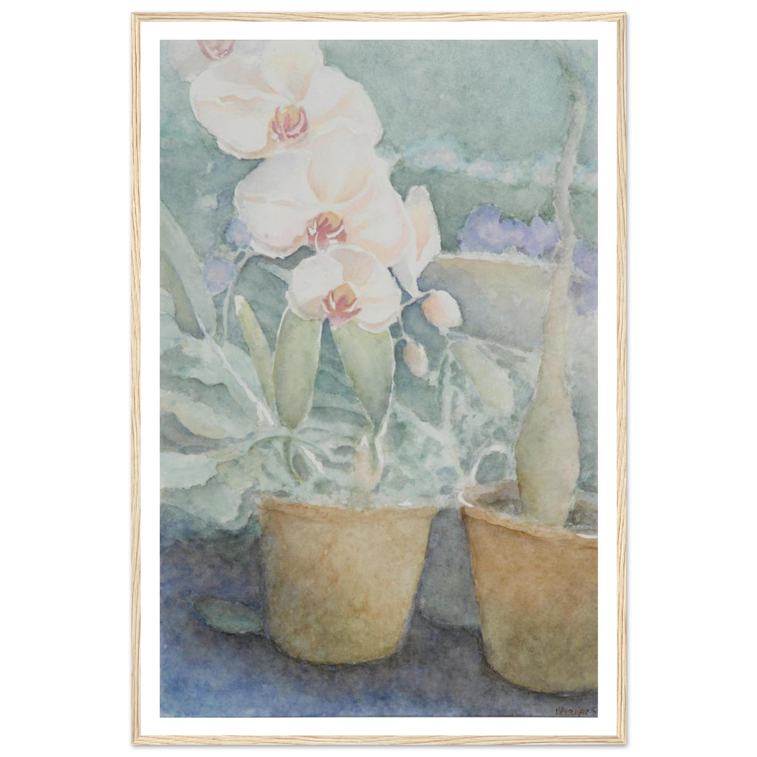 Whispers of Orchids: A Delicate Floral Watercolor by Veronique Semple - Watercolor botanical nature print for home decor