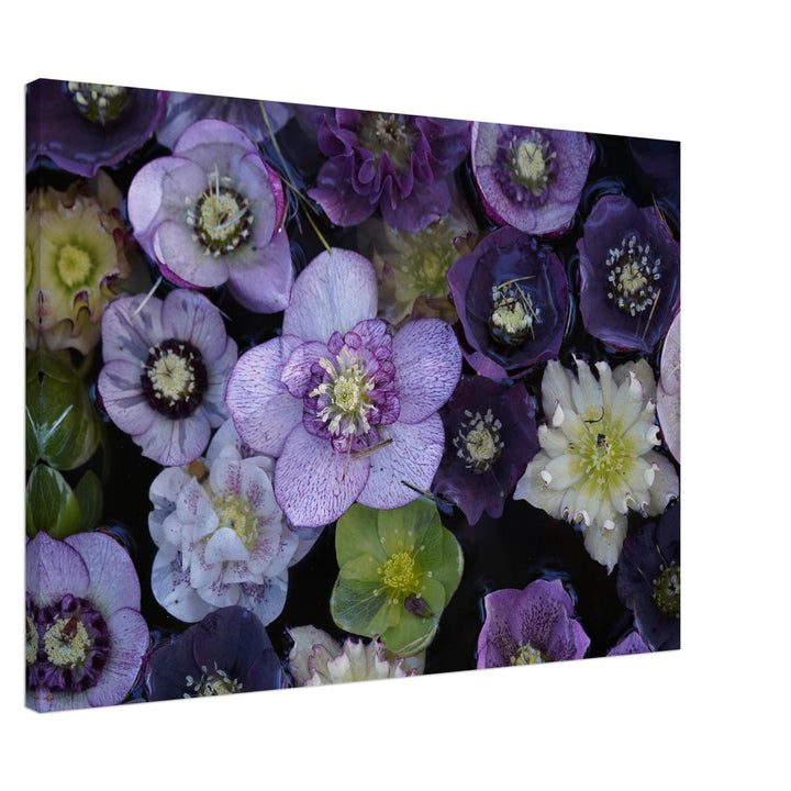 91e1c503-f5ae-4309-aa7b-da633f7babd9