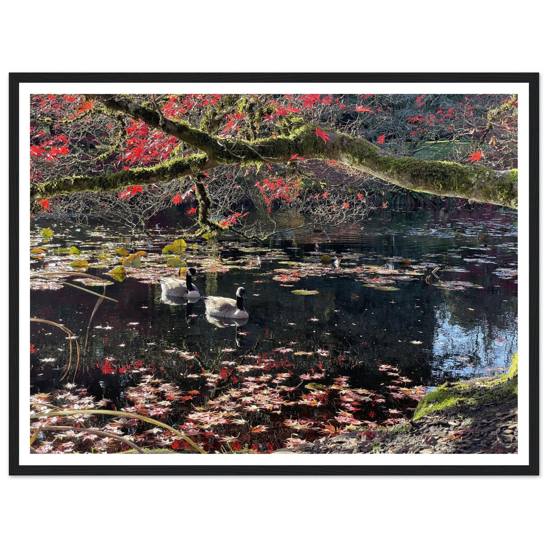 97d20f1f-fc58-4f68-987a-007de1bb79bb