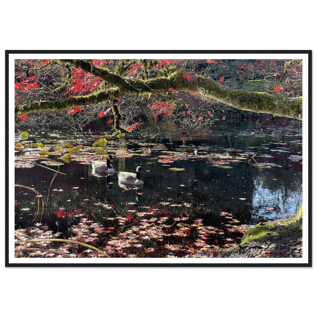 9a281ea6-4c70-4918-8d41-20d70dc92cbe