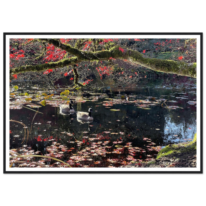 9a281ea6-4c70-4918-8d41-20d70dc92cbe