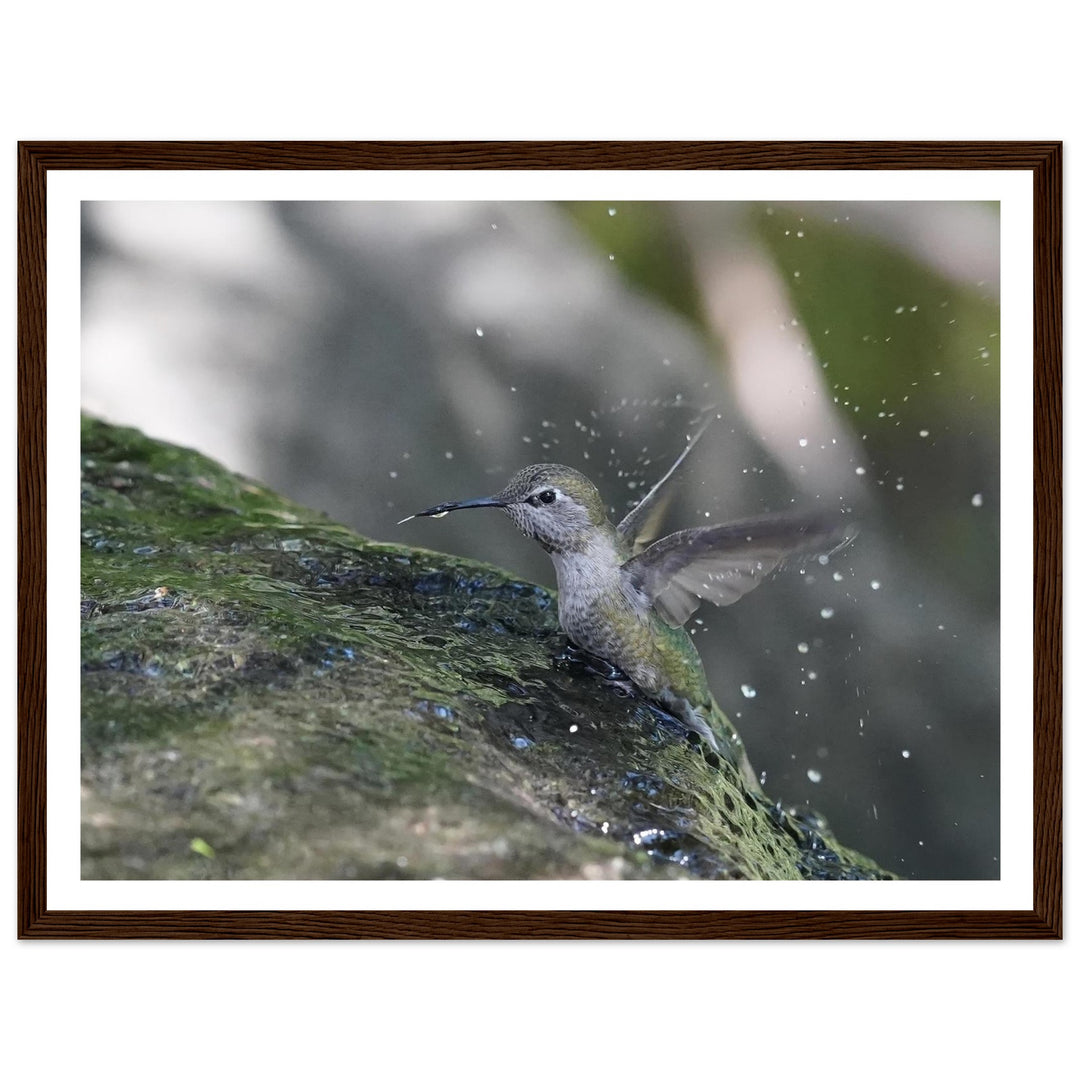 9f95bd95-3590-4aac-bfb1-3e29d519c31e