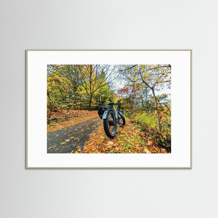 Fat Bike on Fall Path - Art Print Framed Options