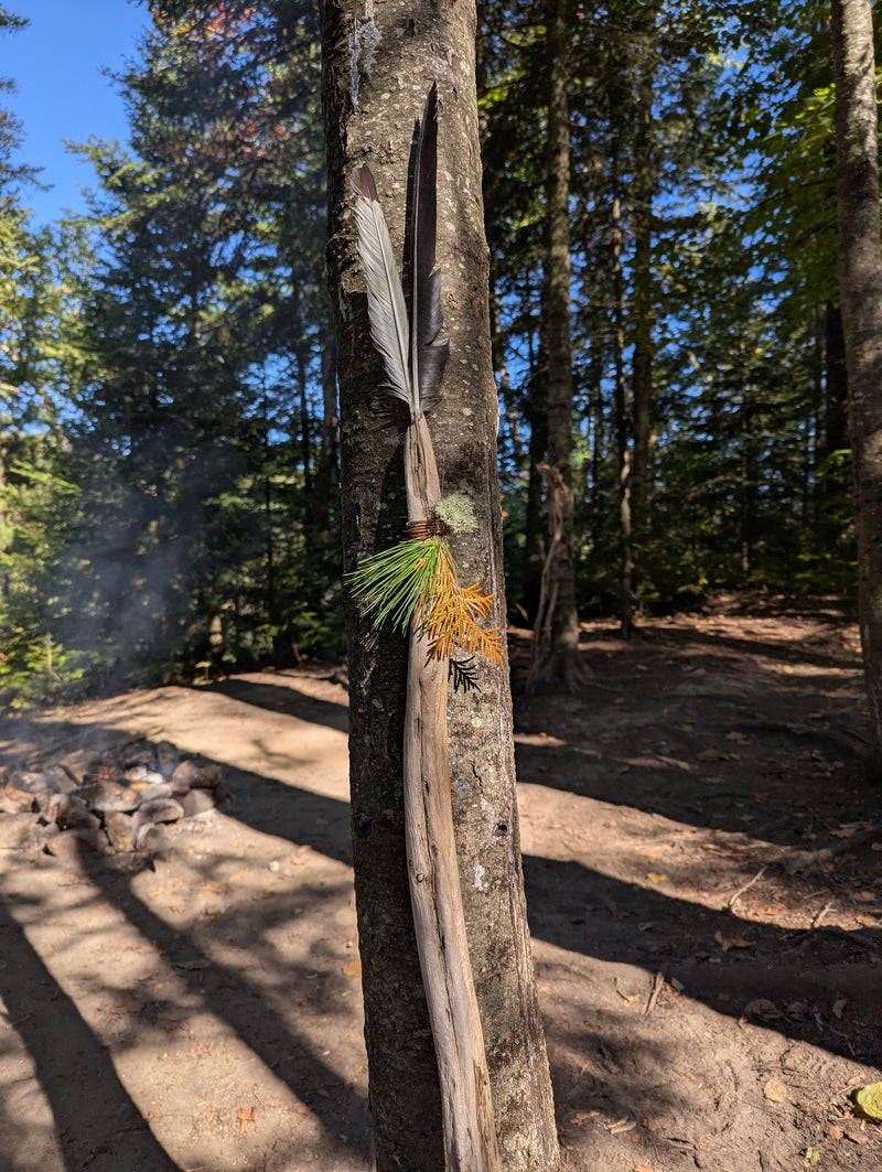 Driftwood decorated with feathers, lichen and conifers