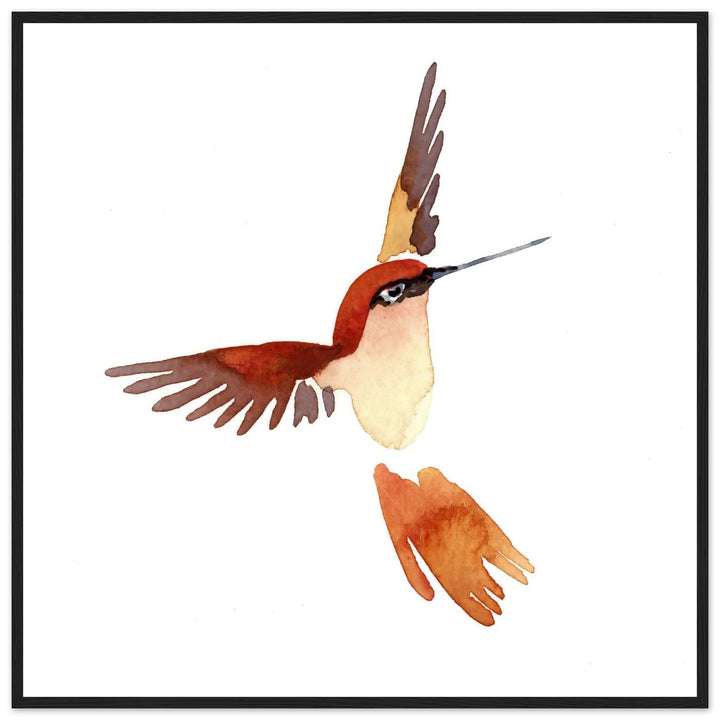 Graceful Hummingbird: Exquisite Watercolor Art Print by Andrew Semple - Watercolor watercolor print for home decor