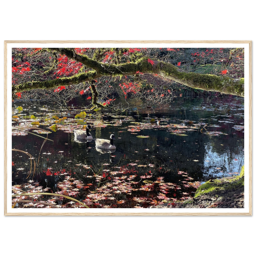 a289dfc6-13e7-4e9a-a4a1-829492dcd504