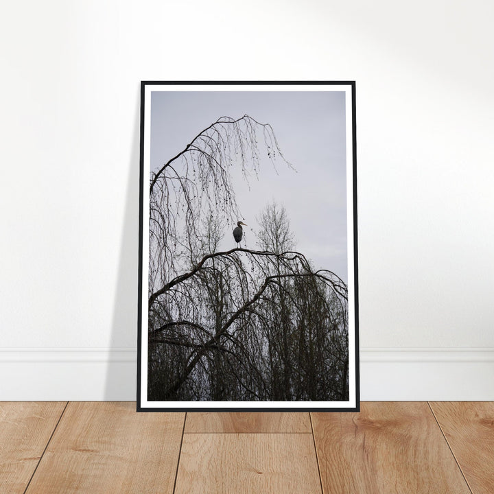 "The Sentinel" Majestic Heron Serene Nature Wall Art by Andrew Semple - Photography wildlife photography print for home decor
