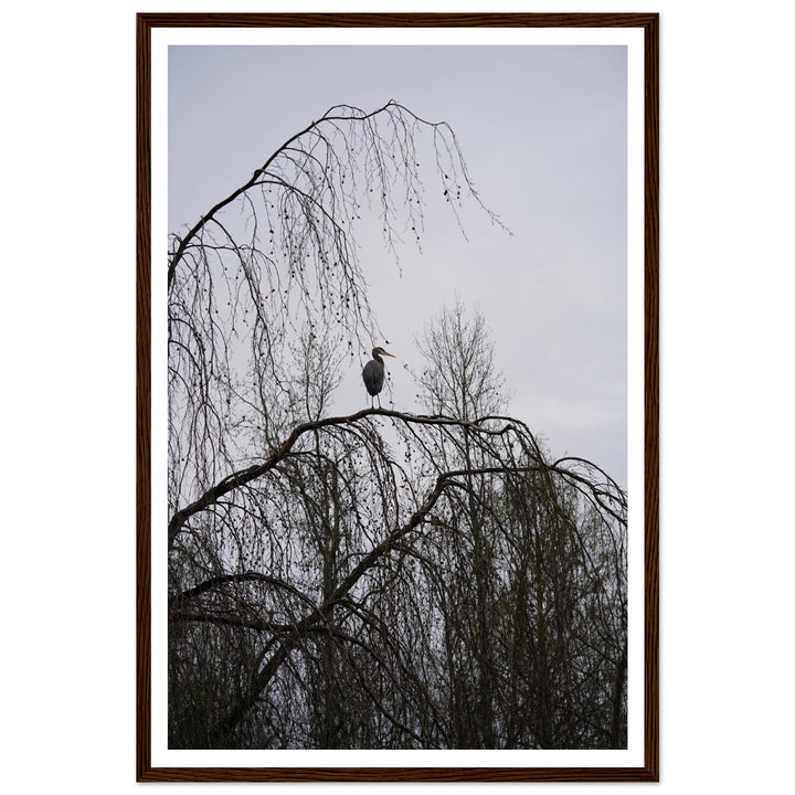 "The Sentinel" Majestic Heron Serene Nature Wall Art by Andrew Semple - Photography wildlife photography print for home decor