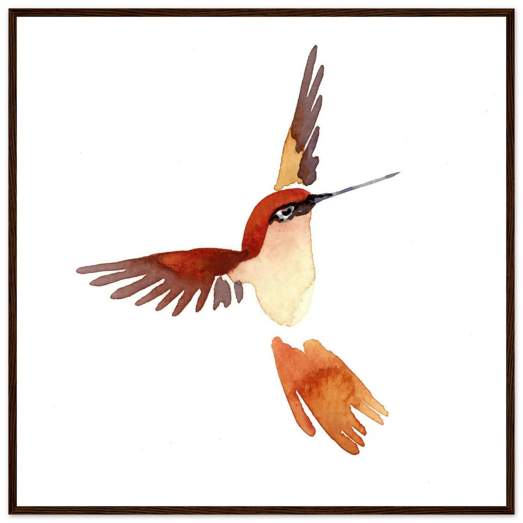 Graceful Hummingbird: Exquisite Watercolor Art Print by Andrew Semple - Watercolor watercolor print for home decor