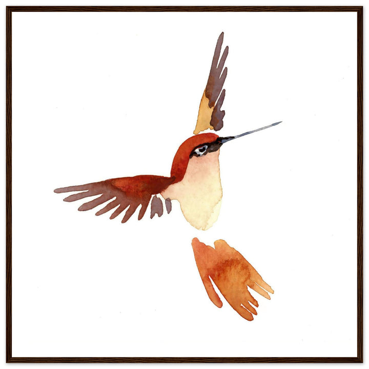 Graceful Hummingbird: Exquisite Watercolor Art Print by Andrew Semple - Watercolor watercolor print for home decor