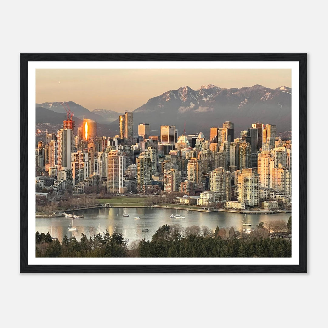 aa3876e8-6605-4cc3-b0cc-29e333947e72