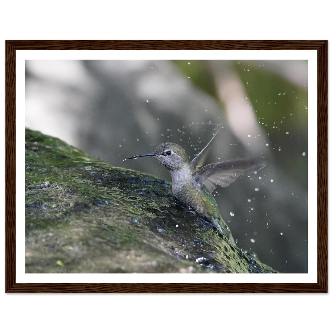 abe7857c-a647-48e3-9b42-e59681aab000