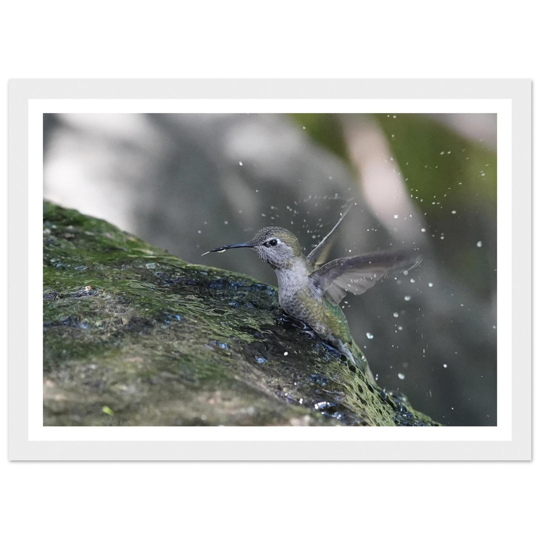 af527c4d-6826-4d31-8866-6dd138891da7