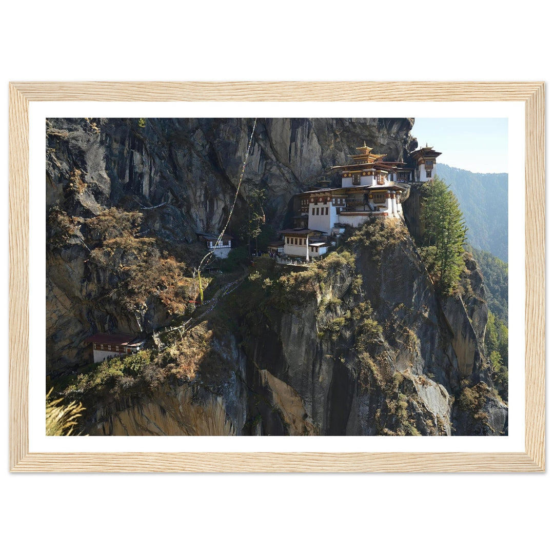 b6429212-04c2-490b-807a-3cc920e528c6