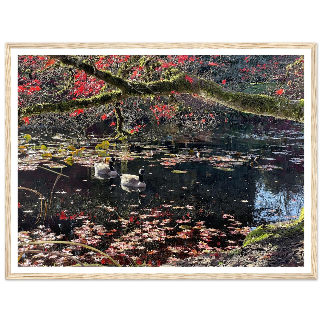 be2796e7-38bf-49a9-869f-403d7a32e071