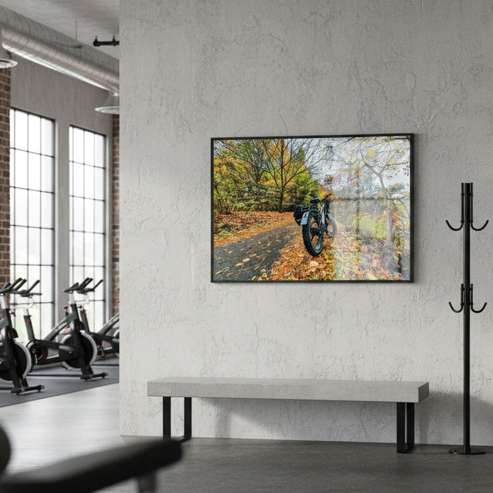 Framed picture of a bike on a path with trees in a modern room with exercise bikes.