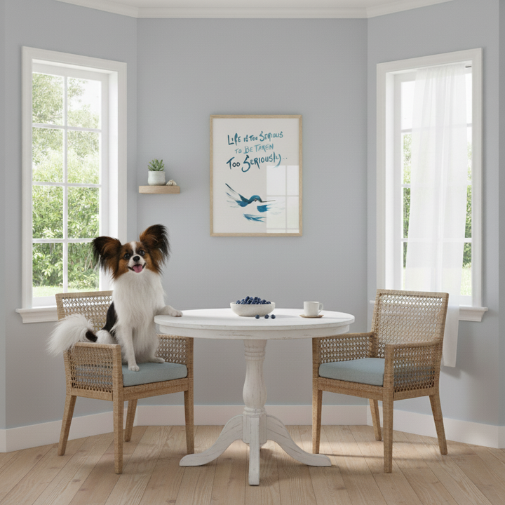 Papillon dog sitting on a chair at a kitchen table in a room with gray walls, windows and framed artwork of a hummingbird - by Andrew Semple on Bromont Media