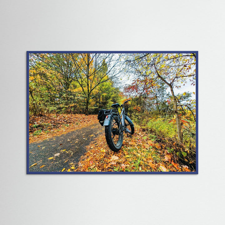 Fat Bike on Fall Path - Art Print Framed Options