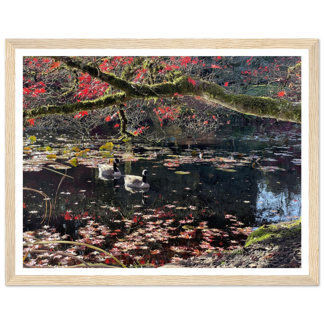 c2547869-c98b-4cef-9fe5-8ee82e0eae98