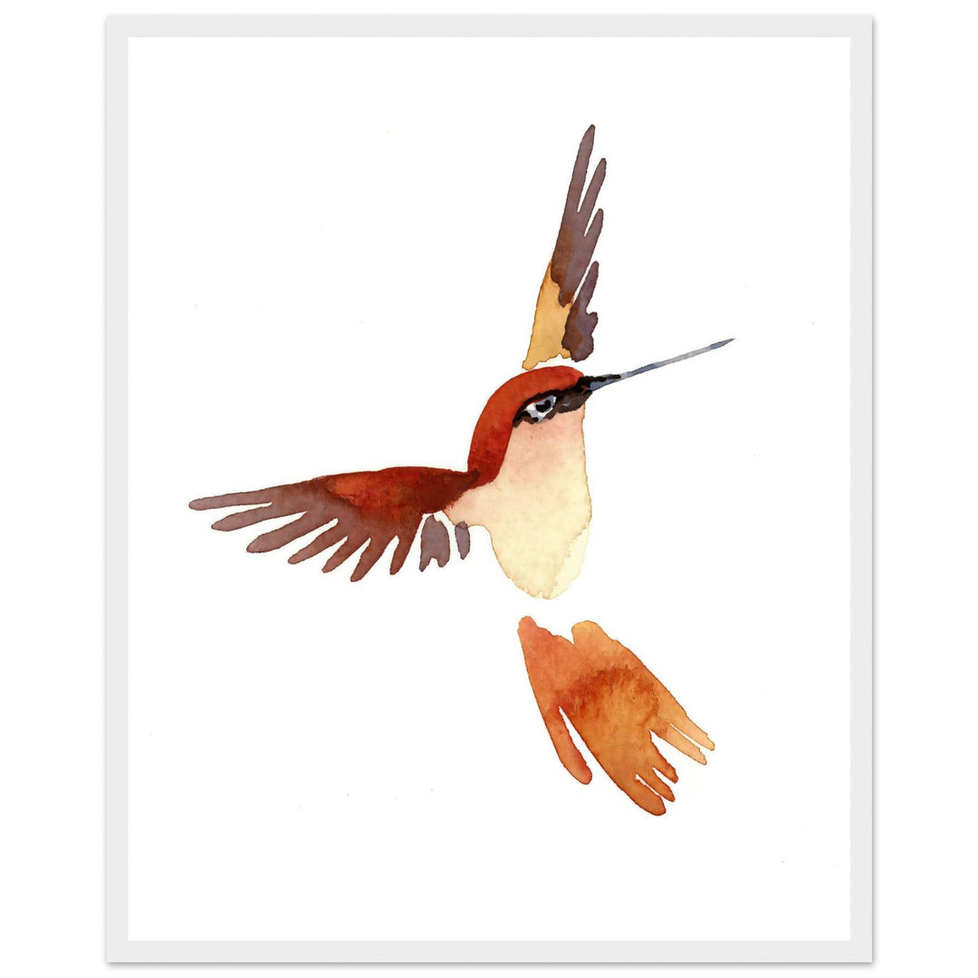 Graceful Hummingbird: Exquisite Watercolor Art Print by Andrew Semple - Watercolor watercolor print for home decor