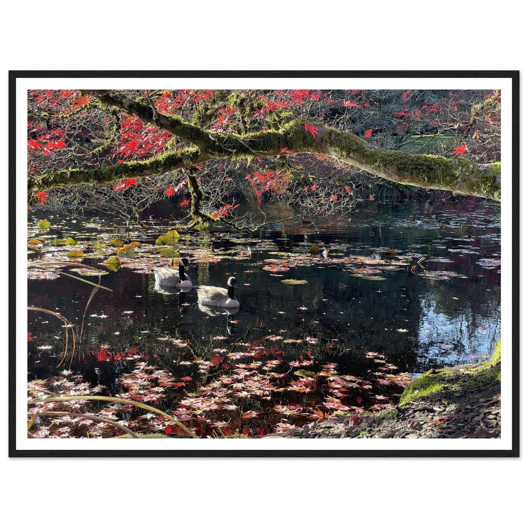 c7277051-5965-4a37-9e1c-d460b4cd83d7