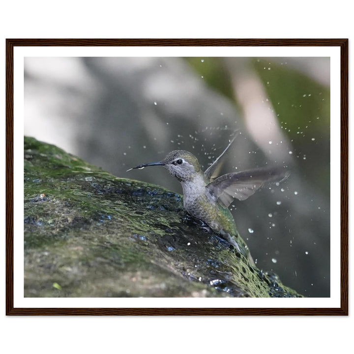 c7df6d04-37d2-4e4c-8acb-17aaf1ec60a7