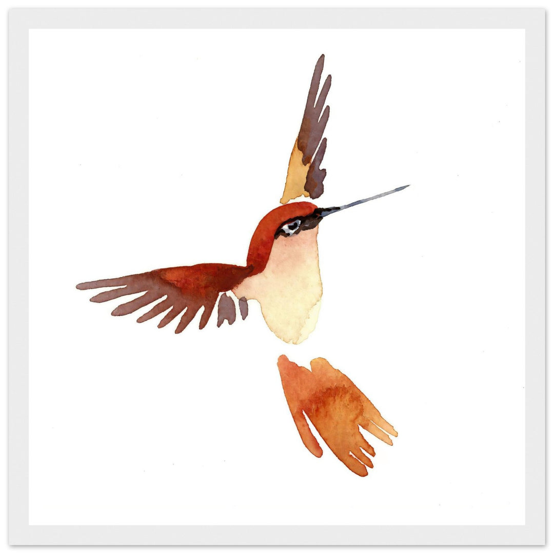 Graceful Hummingbird: Exquisite Watercolor Art Print by Andrew Semple - Watercolor watercolor print for home decor