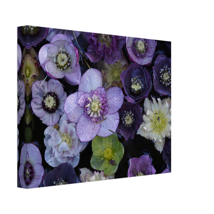 cae6562b-9628-4f8f-8e2b-c2340db0bd95