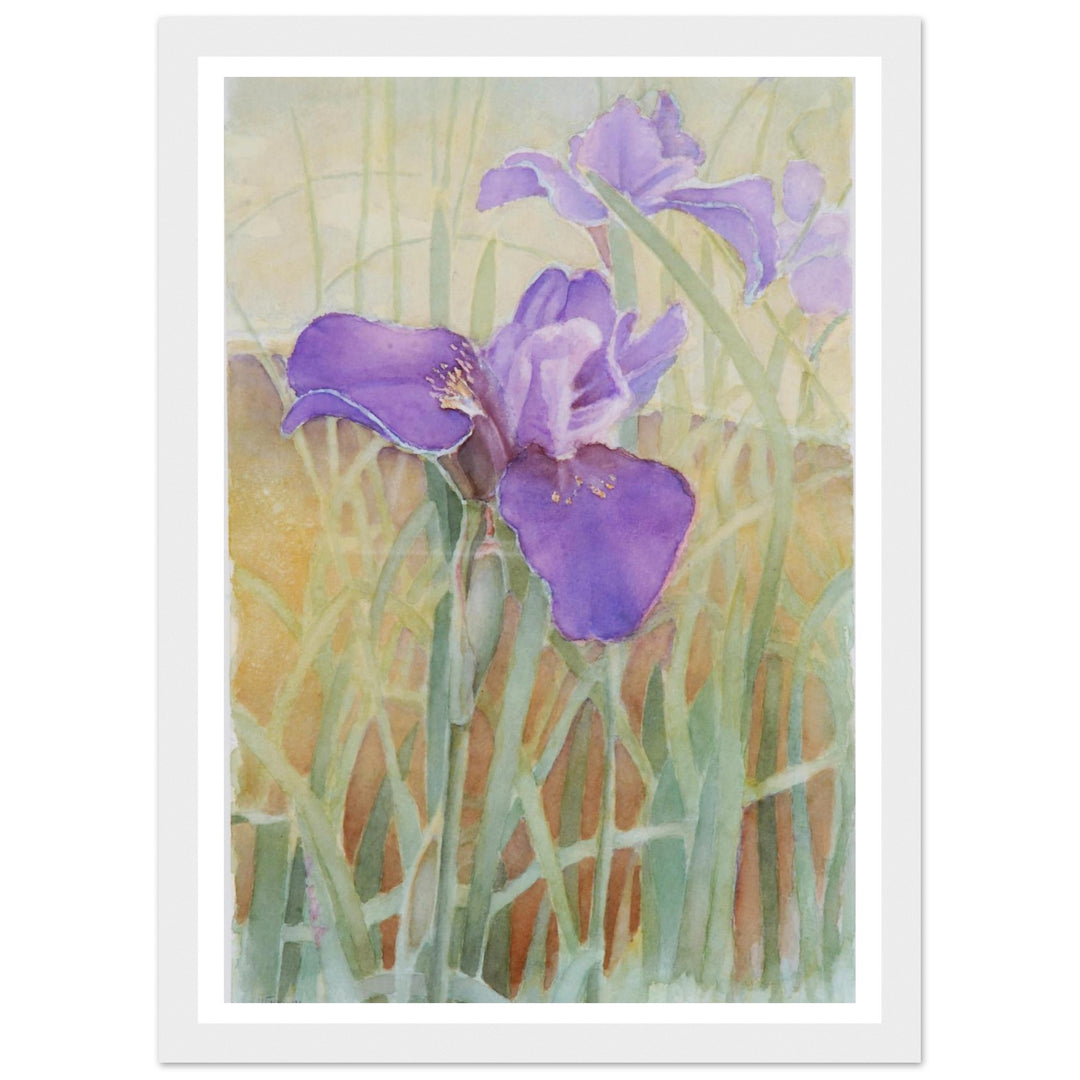 Vibrant Iris Blossoms: A Watercolor Celebration of Nature's Beauty by Veronique Semple - Watercolor wall art print