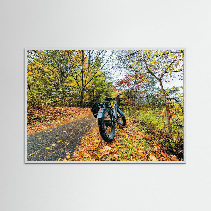 Fat Bike on Fall Path - Art Print Framed Options