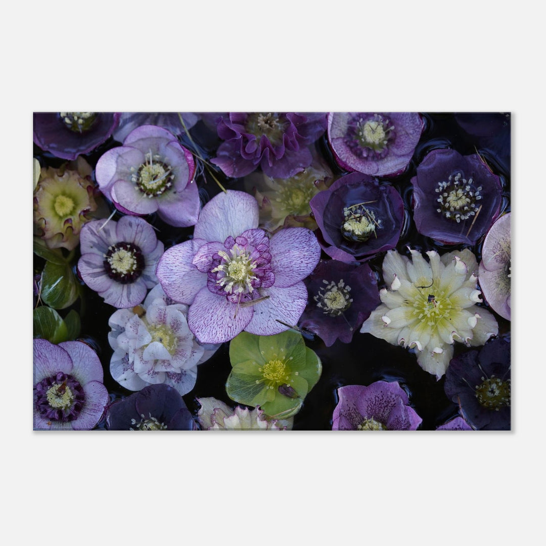 d20a4831-a3c2-4764-9f76-0b3ad4e298de