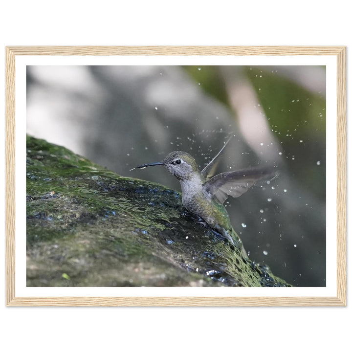 d2a0a248-57d4-41eb-9419-1b1953f871e1