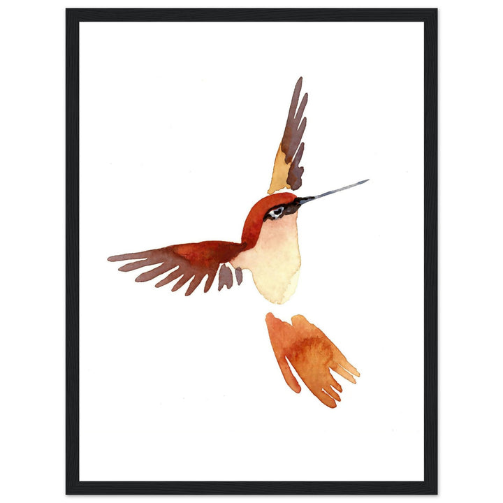 Graceful Hummingbird: Exquisite Watercolor Art Print by Andrew Semple - Watercolor watercolor print for home decor