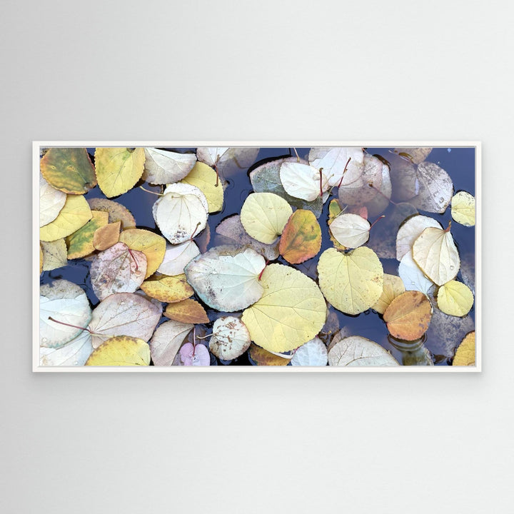 Floating Leaves Nature Photography Wall Art by Andrew Semple - Photography botanical/nature print for home decor - Bromont Media