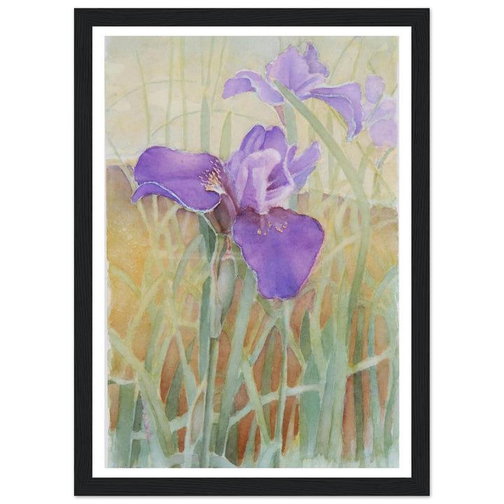 Vibrant Iris Blossoms: A Watercolor Celebration of Nature's Beauty by Veronique Semple - Watercolor wall art print