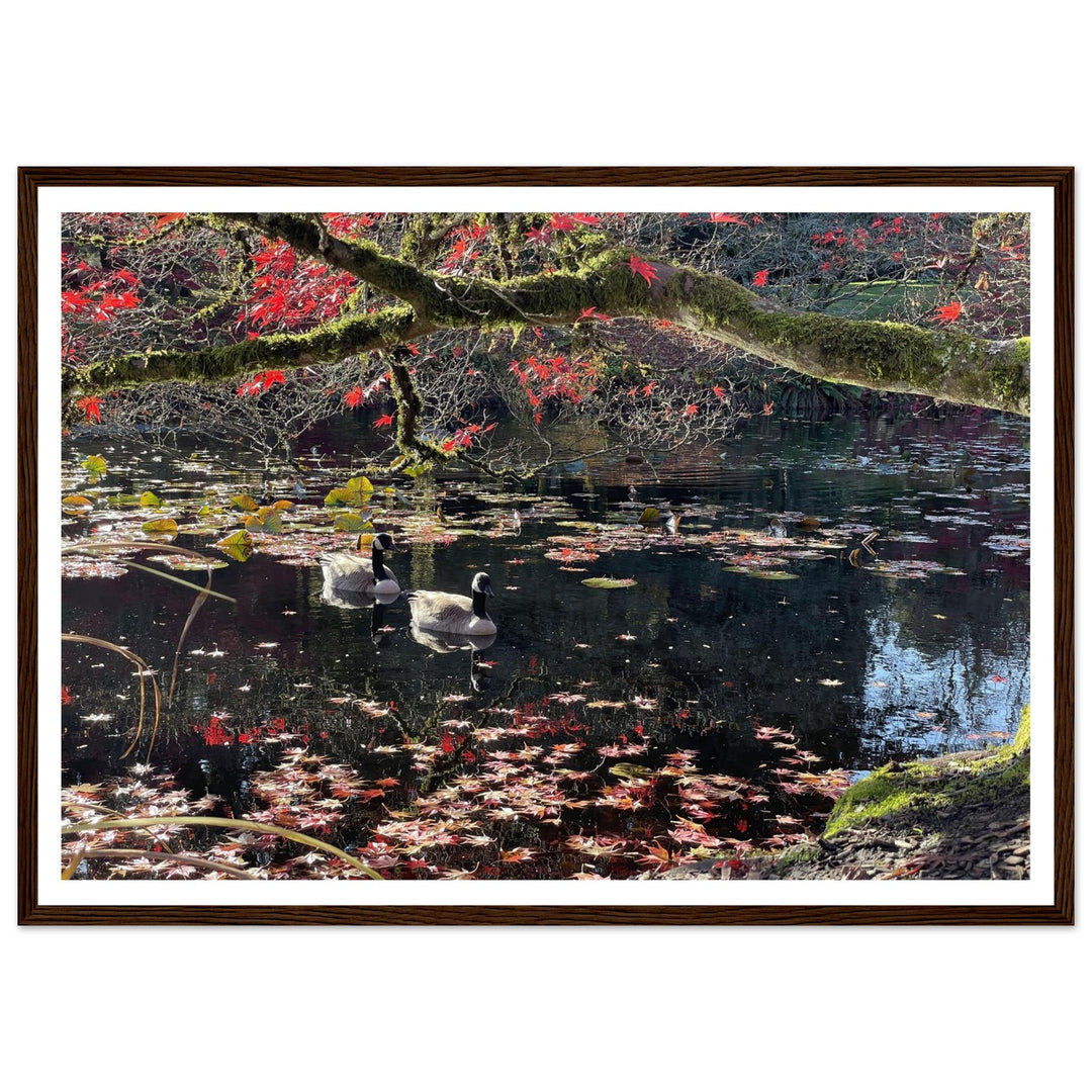 d9edb9a3-5d4c-4431-b6da-0a6605c2ad10