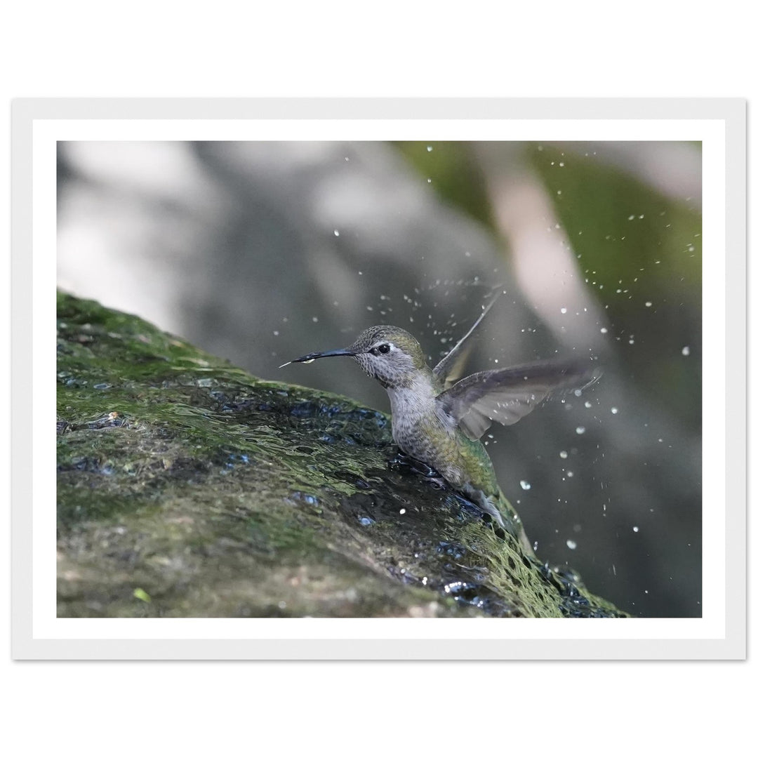 df5087c4-315c-495e-9076-42fb668e1333