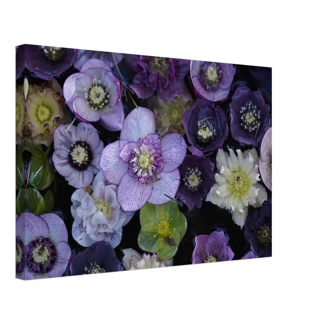 e51534e1-f0a7-4775-80a2-fa5c083eb1c6