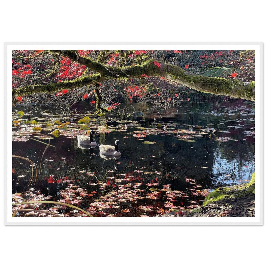 eccb5b78-f74b-4fac-9c3d-27e1cb746788