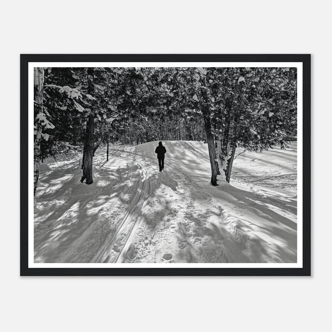 Serene Snowy Pathway in Monochrome Beauty by Studio Shefford - Photo Art Composition wall art print